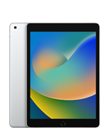 iPad (9. Generation)